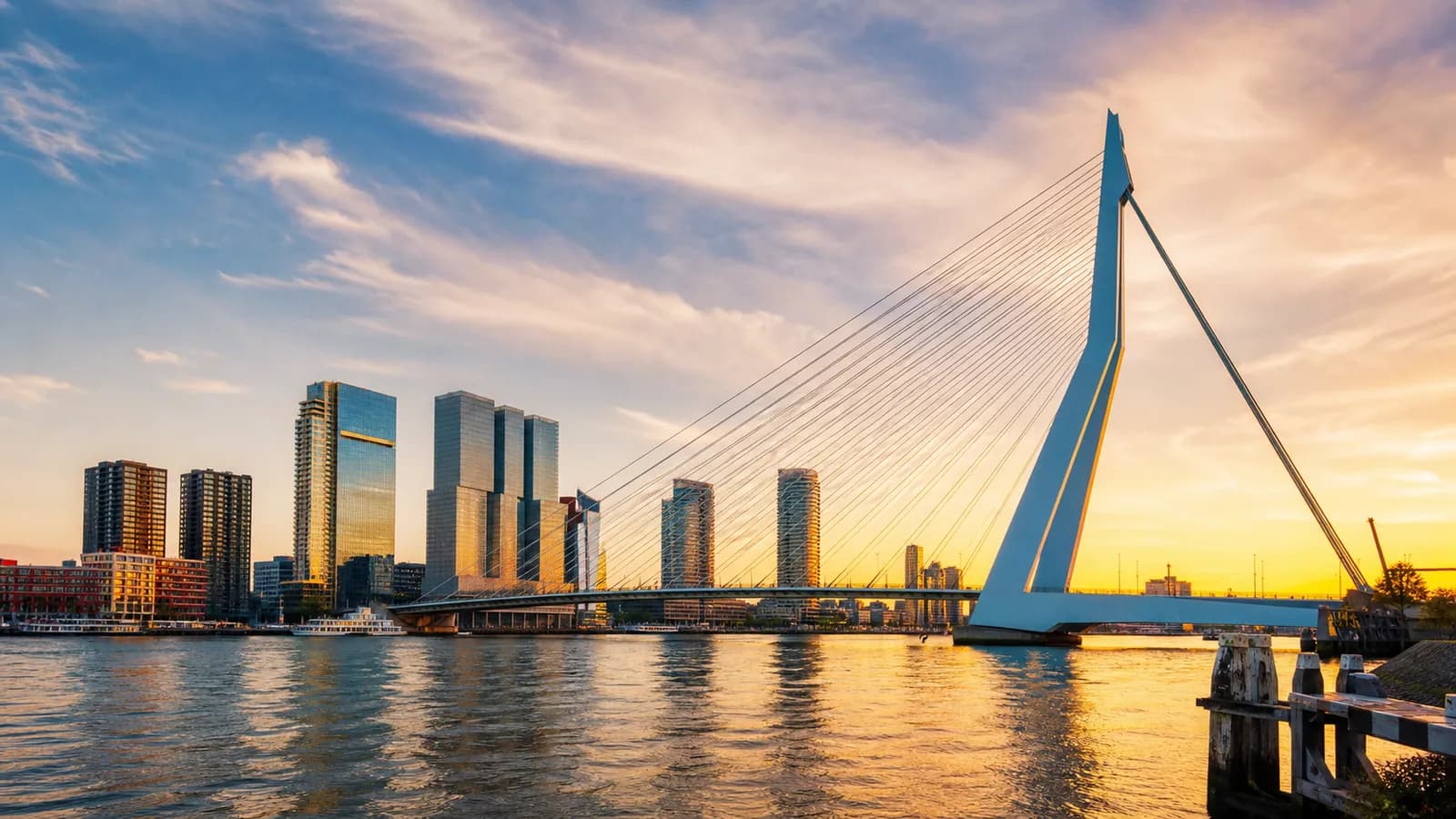 Rotterdam, travel guide hero image